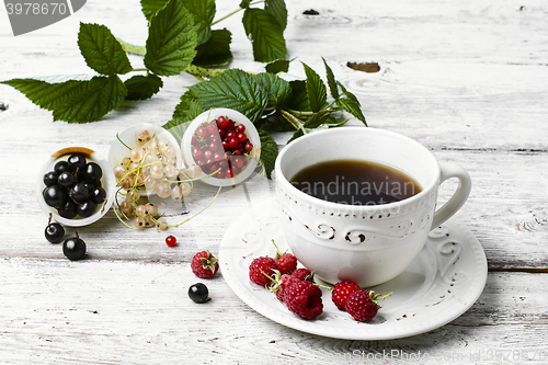 Image of Cup of berry tea