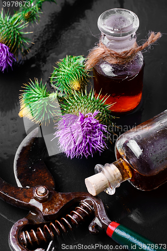 Image of Medicine from the Thistle