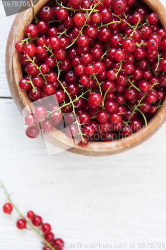 Image of Fresh red currants