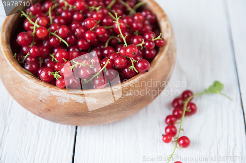 Image of Fresh red currants