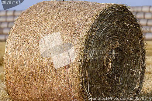 Image of stack of straw in the field  