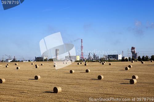 Image of stack of straw in the field  