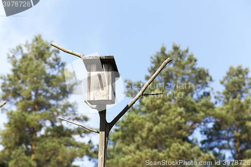 Image of birdhouse from a tree  