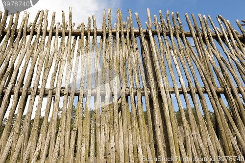 Image of fence of twigs  
