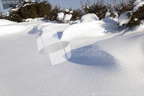 Image of snow-covered field  