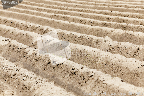 Image of plowed land. close-up  