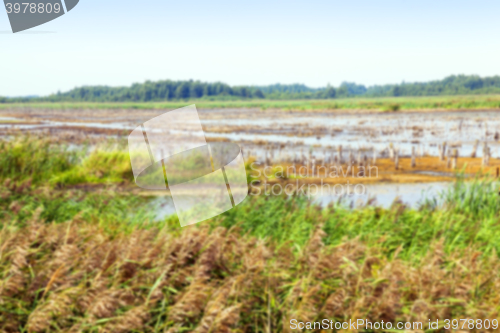 Image of moorland, summer time 