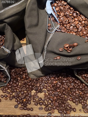 Image of coffee beans on bags