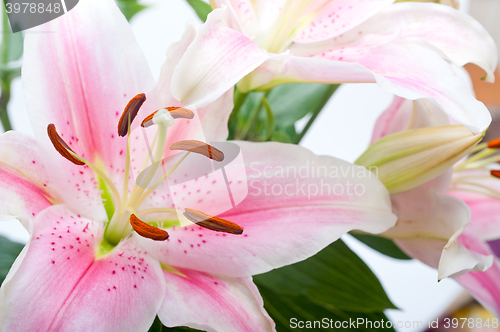 Image of pink lily flower bouquet