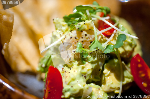 Image of avocado and shrimps salad 