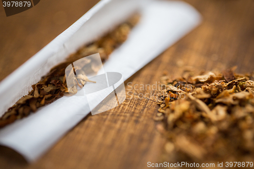 Image of close up of marijuana or tobacco cigarette paper