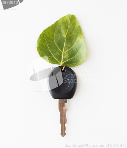 Image of close up of car key and green leaf