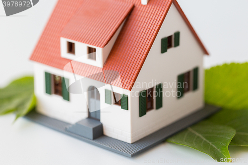 Image of close up of house model and green leaves