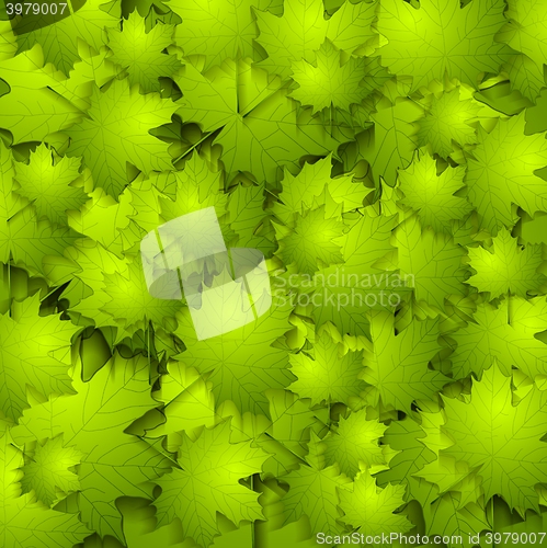 Image of Green summer leaves texture
