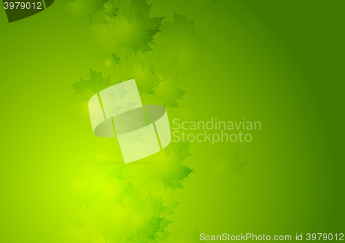 Image of Abstract summer background with green leaves