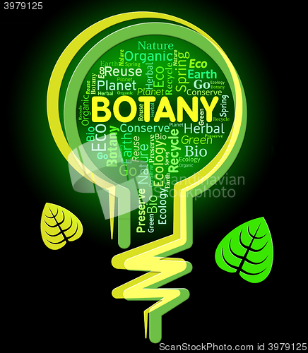 Image of Botany Lightbulb Represents Nature Rural And Eco