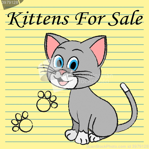 Image of Kittens For Sale Shows Cats On Market And Advertisement
