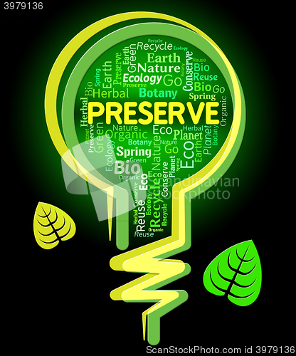 Image of Preserve Lightbulb Shows Conserving Protecting And Rural