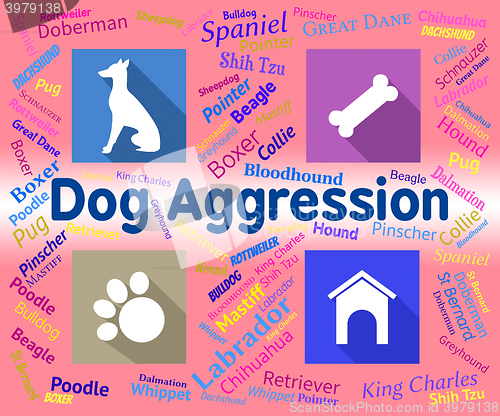 Image of Dog Aggression Represents Angry Aggressor And Pet