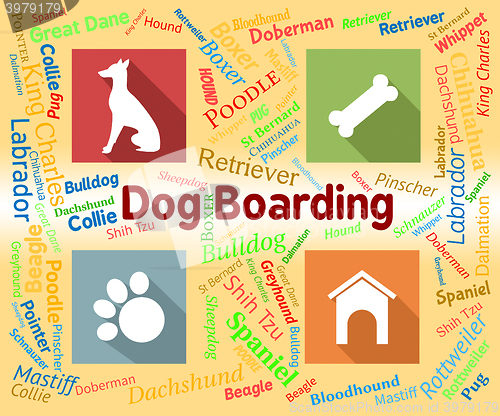 Image of Dog Boarding Represents Pets Vacation And Puppy