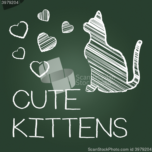 Image of Cute Kittens Represents Domestic Cat And Adorable