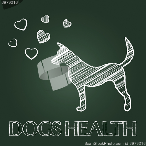 Image of Dogs Health Shows Pups Care And Attention