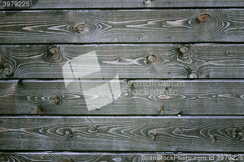 Image of Natural background of wood with annual rings and knots