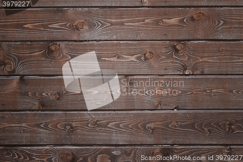 Image of Natural background of wood with annual rings and knots