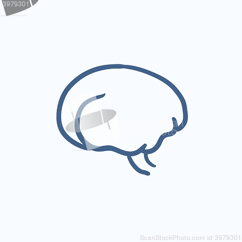 Image of Brain sketch icon.