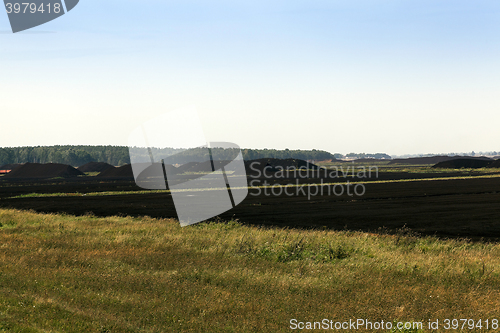 Image of extraction of peat  