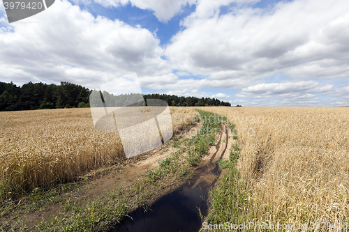 Image of Rural paved road  