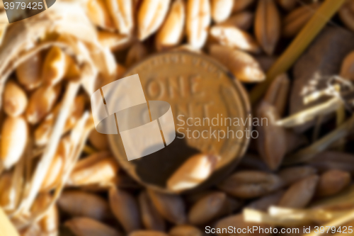 Image of coin in the straw 