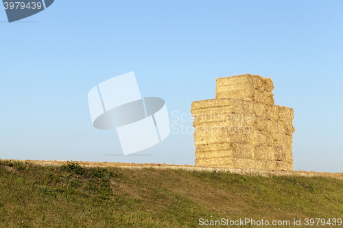 Image of haystacks in a field of straw  