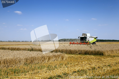 Image of Harvester in the field 
