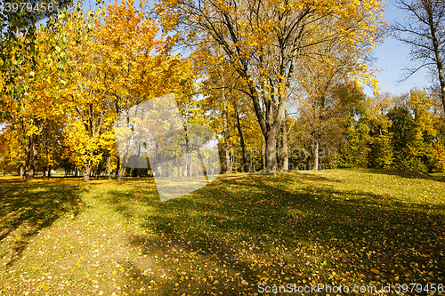 Image of autumn season, foliage