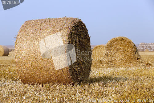 Image of stack of straw in the field  