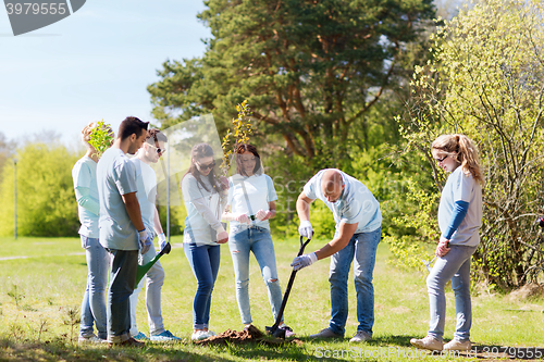 Image of group of volunteers planting tree in park