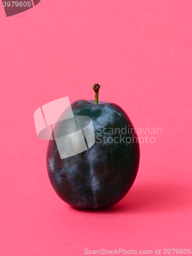 Image of Single ripe plum