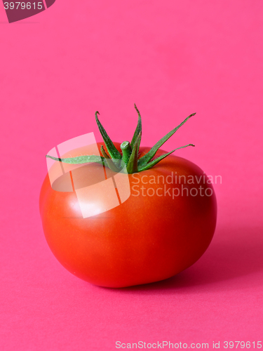 Image of One ripe tomato