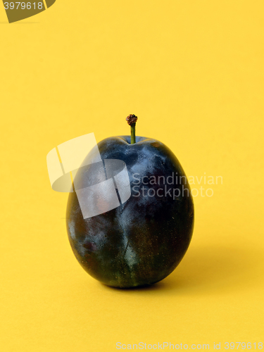 Image of Single ripe plum