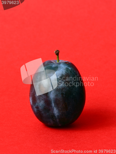 Image of Single ripe plum