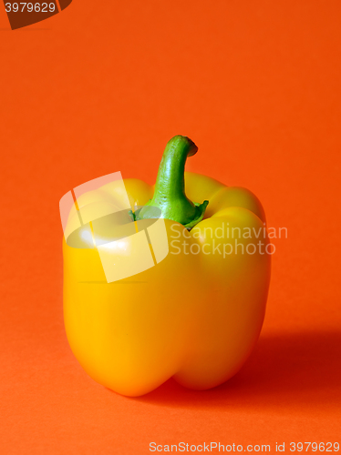 Image of Yellow Bell pepper