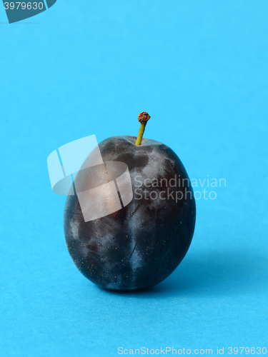 Image of Single ripe plum