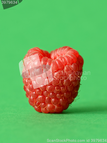 Image of One fresh raspberry