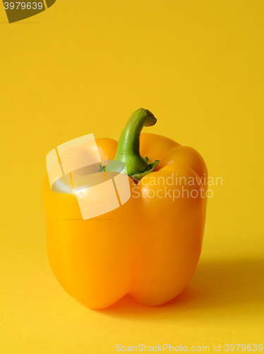 Image of Yellow Bell pepper