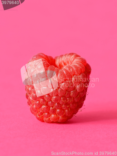 Image of One fresh raspberry
