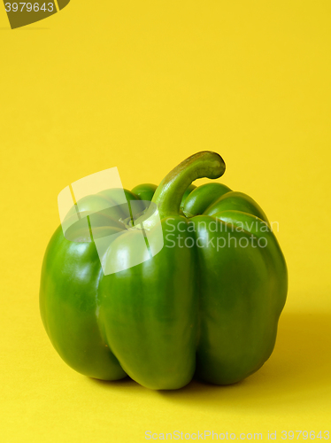 Image of Green bell pepper