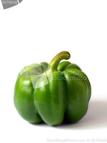 Image of Green bell pepper