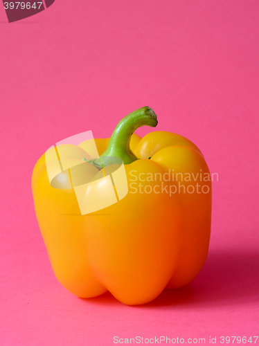 Image of Yellow Bell pepper