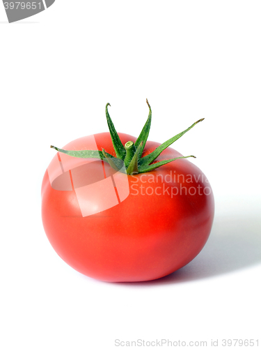 Image of One ripe tomato